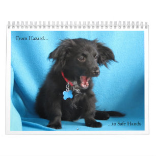 From Hazard to Safe Hands Calendar
