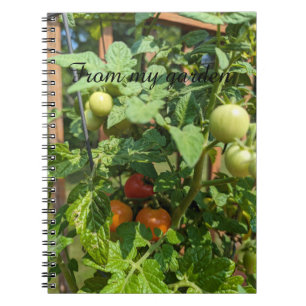 From my Garden Spiral Photo Notebook
