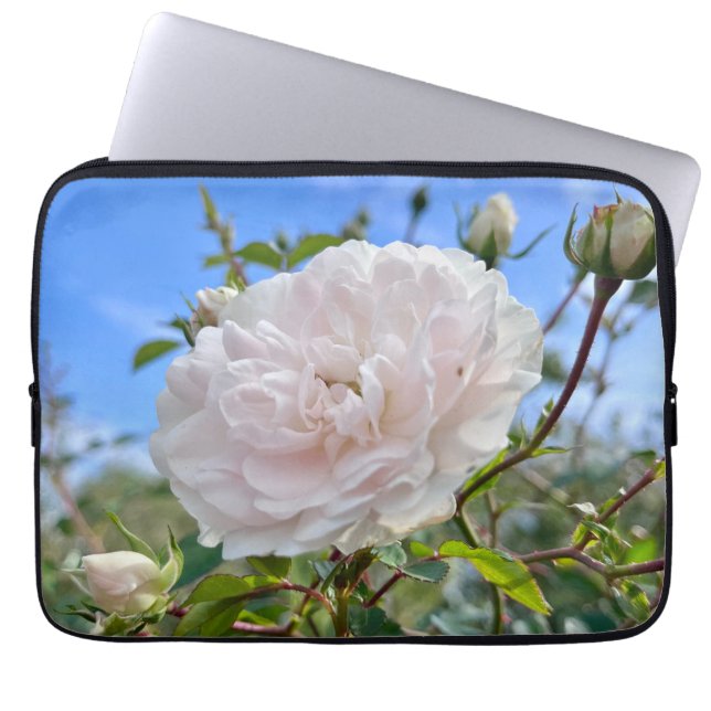 From my mom's garden laptop sleeve (Front)