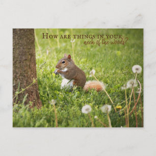 From My Neck of the Woods to Yours Postcard