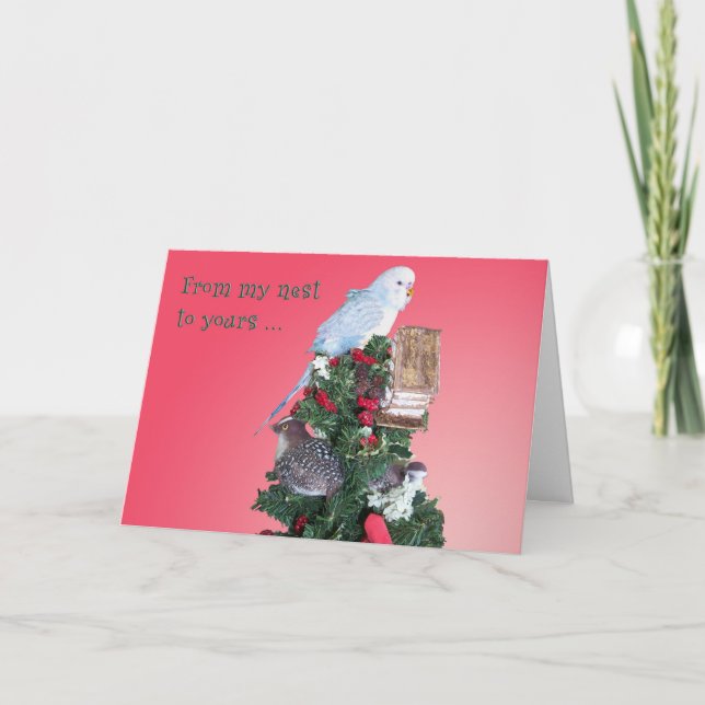 From My Nest Holiday Card (Front)