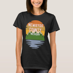 From Newaygo County Michigan Vintage Sunset T-Shirt