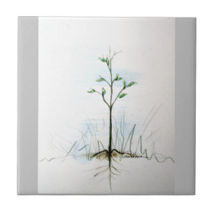 From One Little Seed . . . . Ceramic Tile