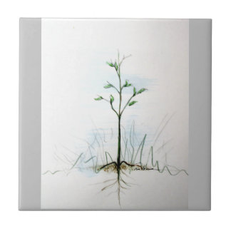 From One Little Seed . . . . Ceramic Tile