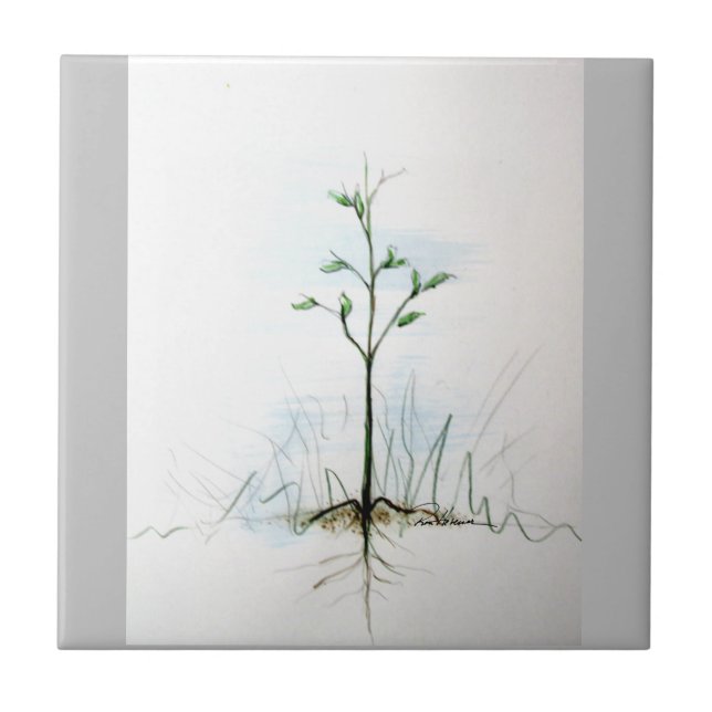 From One Little Seed . . . . Ceramic Tile (Front)