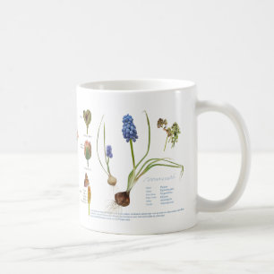 From our perennial garden. coffee mug