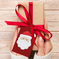 From Santa Claus Custom Cute Red Christmas