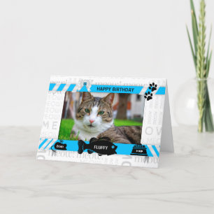 from the Cat Birthday Blue Pet's Photo and Name Card