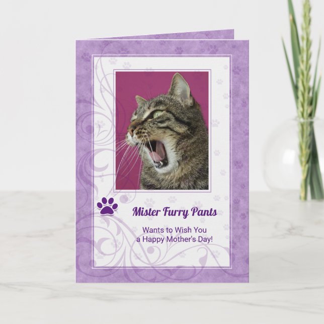 From the Cat Mother's Day Photo in Purple Card (Front)