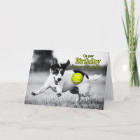 from the Dog Birthday - Go Fetch JRT