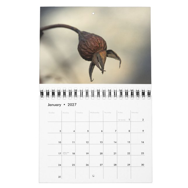 From the earth abundant calendar (Jan 2027)