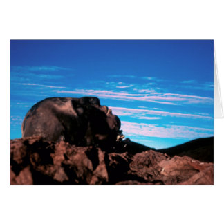 From the Earth/Folded Card