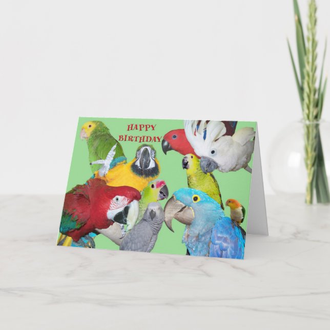 From the Flock Birthday Card (Front)