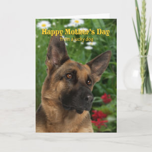 From the German Shepherd Mother's Day Card