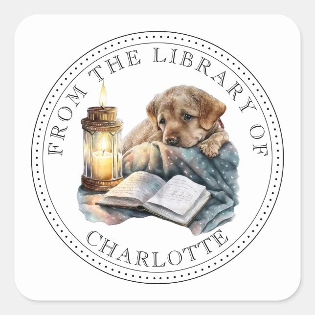 From The Library Of Illustrated Bookplate Square Sticker (Front)