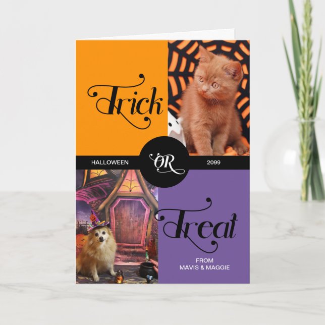 From the Pet Trick or Treat Halloween Two Photos Card (Front)