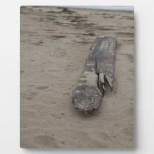 From the Sea Plaque