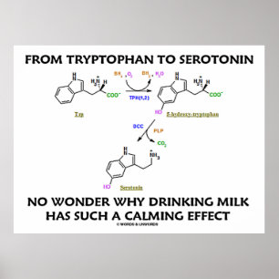 From Tryptophan To Serotonin (Chemistry Humour) Poster