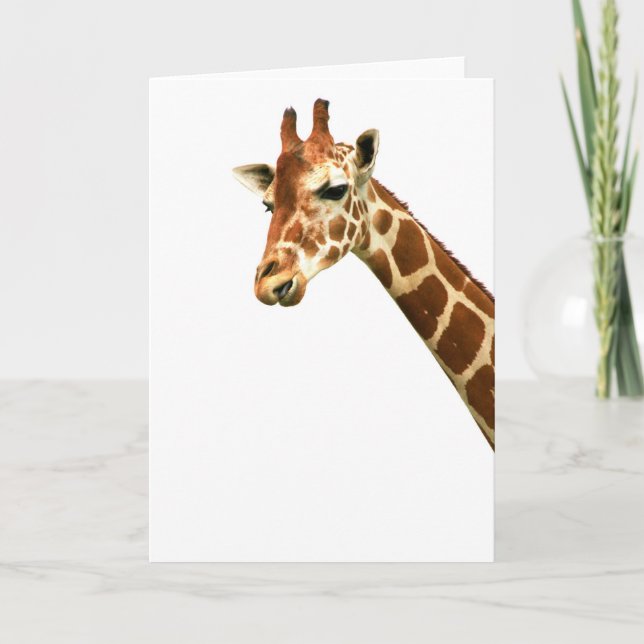 From Up Here Card (Front)