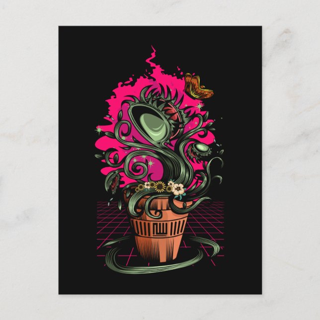 From Venus Postcard (Front)