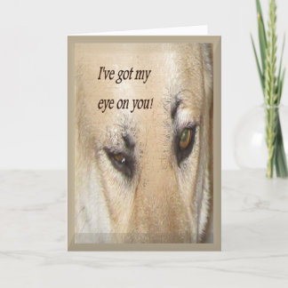 From your Secret Pal Card