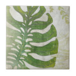 Frond III Tile<br><div class="desc">Frond III by Chariklia Zarris</div>