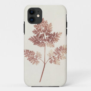 Fronds of Leaves, 1843 (b/w photo) iPhone 11 Case