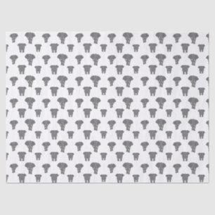Front and Back Elephant Pattern Multi Colour Tissue Paper