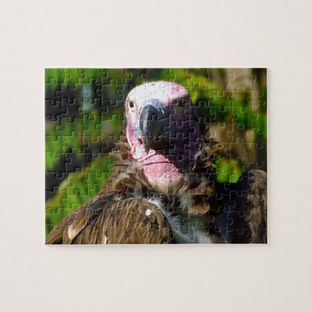 Front Facing Turkey Vulture Closeup Jigsaw Puzzle (Horizontal)