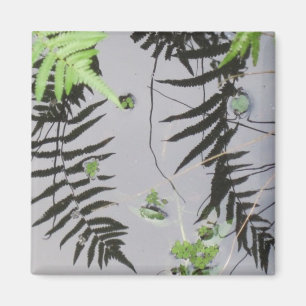 Front Reflections Magnet