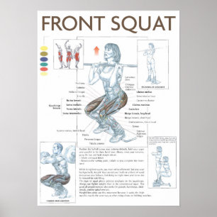 Front Squat Anatomy Exercise Instruction Poster