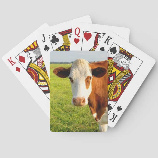 Front view Friesian cow Playing Cards (Back)