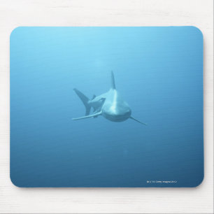 Front view of a Tiger Shark Mouse Pad