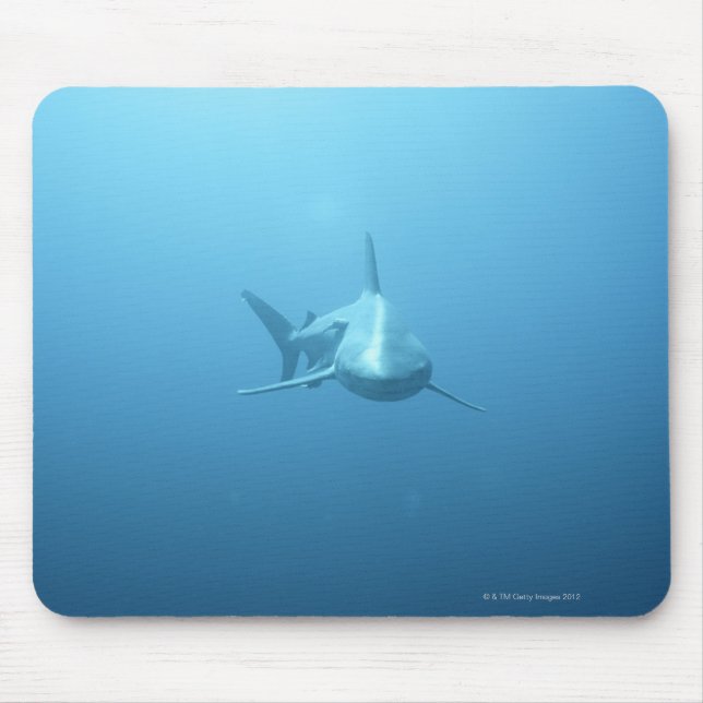 Front view of a Tiger Shark Mouse Pad (Front)