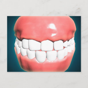 Front View Of Human Mouth With Teeth And Gums Postcard