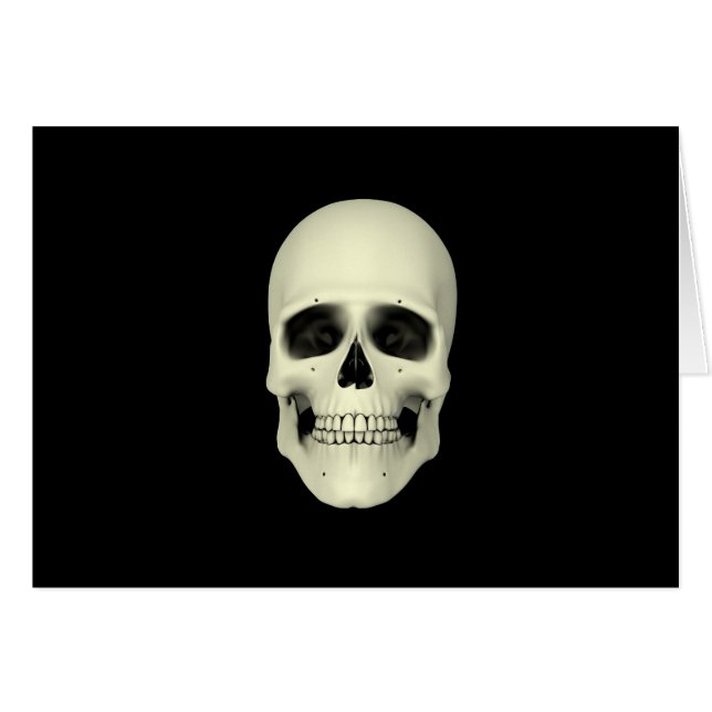 Front View Of Human Skull (Front Horizontal)