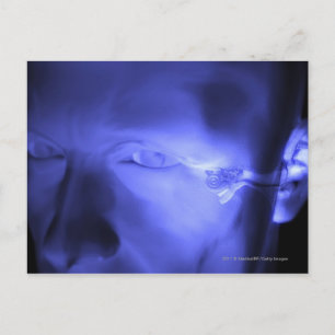 Front view of the inner ear postcard