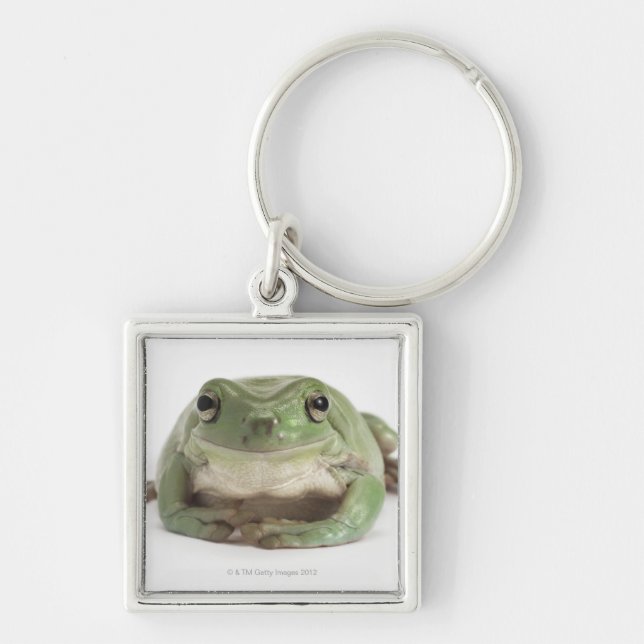 Front View Studio shot of a Smiling, Whites Tree Key Ring (Front)