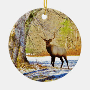 > frontal Bull elk in Snow Ceramic Ornament
