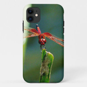 Frontal Red and Black Dragonfly iPhone 11 Case