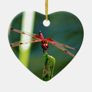 Frontal Red and Black Dragonfly Ceramic Tree Decoration