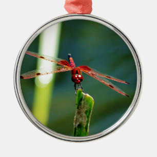 Frontal Red and Black Dragonfly Metal Tree Decoration