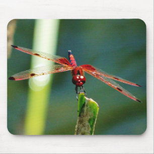 Frontal Red and Black Dragonfly Mouse Pad