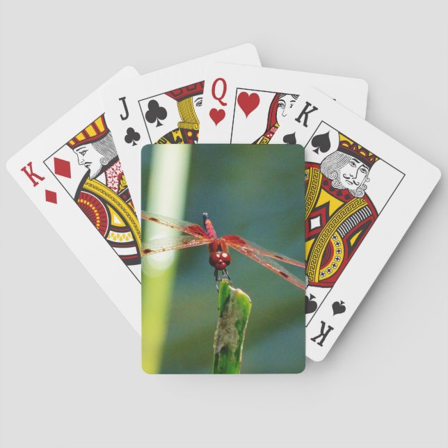 Frontal Red and Black Dragonfly Playing Cards (Back)