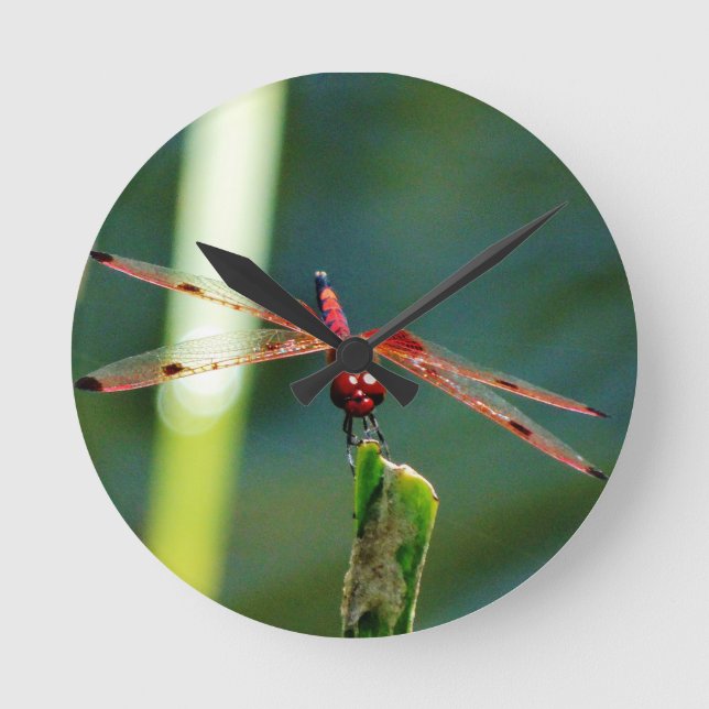 Frontal Red and Black Dragonfly Round Clock (Front)