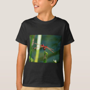 Frontal Red and Black Dragonfly T-Shirt