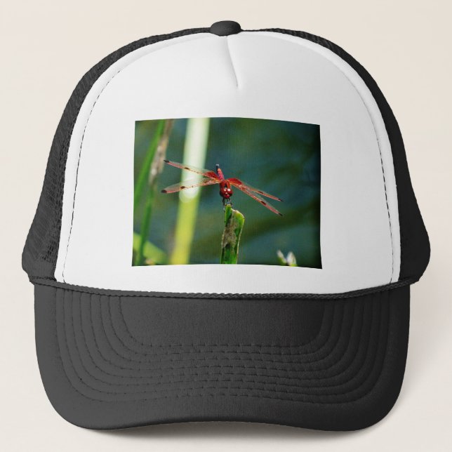 Frontal Red and Black Dragonfly Trucker Hat (Front)