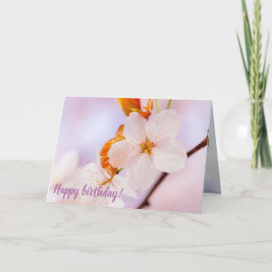 Frontal View Of Sakura Flower In The Spring Season Card