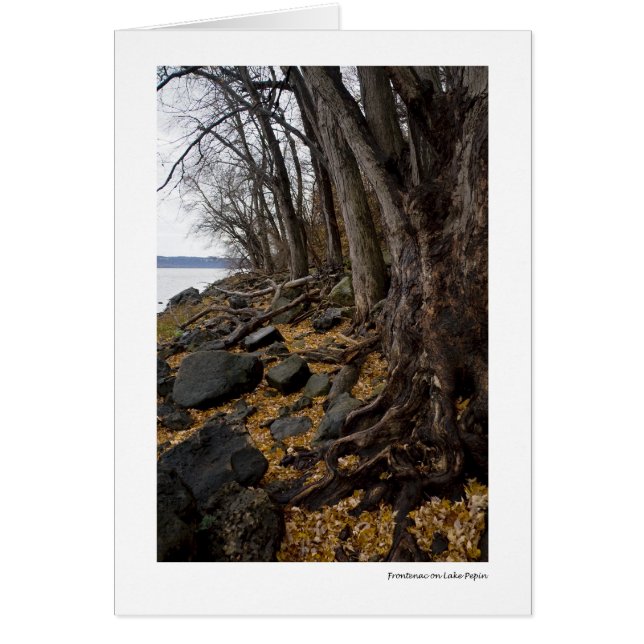 Frontenac on Lake Pepin (Front)