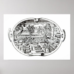 Frontispiece, from 'The Herball', by John Gerard ( Poster